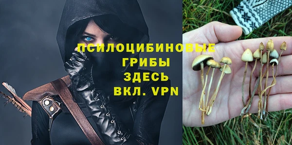 гидра Баксан