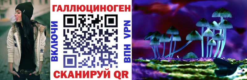 Псилоцибиновые грибы Psilocybine cubensis  как найти наркотики  Кузнецк 